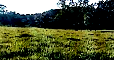 Fazenda com 181,40 hectares, área agrícola em expansão