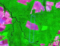 Lote Rural de 1016 Hectares em Nova Maringá/MT