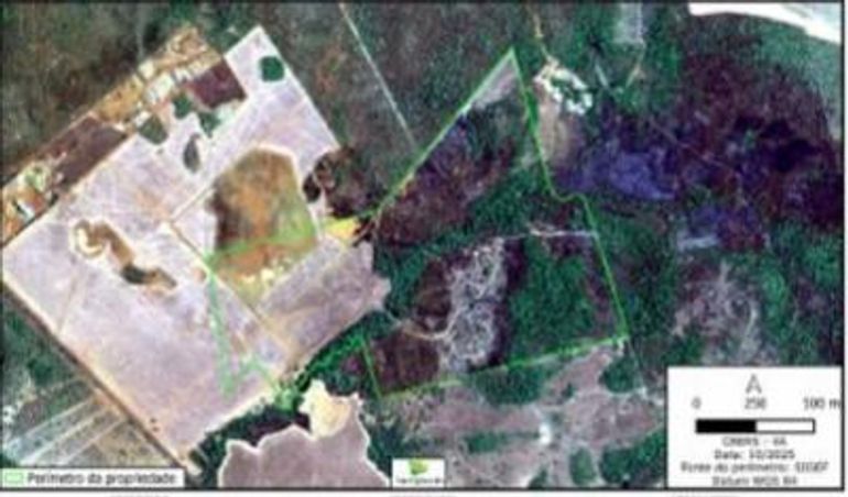 Gleba de 131 hectares em Porto Nacional/TO, ocupada