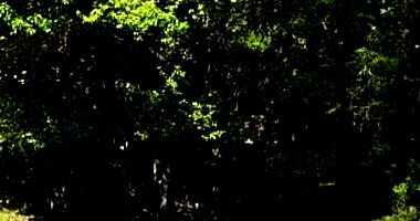 Terreno com benfeitorias em Lomba Grande