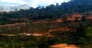 Chácara com 4,72 hectares e casa em Simonésia/MG