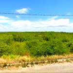 Terreno para Loteamento em Barra dos Coqueiros/SE
