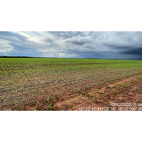 Fazenda com 489ha em Tapurah/MT - Oportunidade única