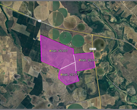 Fazenda Gameleira - 1.051,932 ha - Ocupada