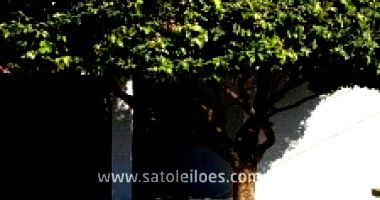 Casa em Fernando Póolis com 3 quartos e 2 banheiros