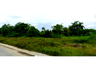 Terreno amplo Gleba 11 Fazenda Vargem Grande com 52.500 m²