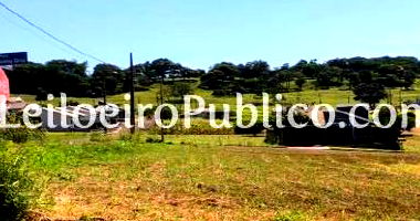 Terreno amplo de 344,20 m² em São Miguel do Iguaçu, pronto para investimento