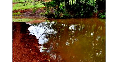 Fazenda Dupla Aptidão com 74 Hectares em Lindoeste/PR