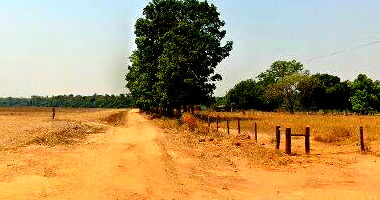 Chácara 24,20 Ha em Santa Carmem/MT com Benfeitorias