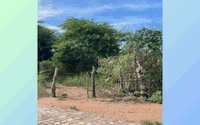 Terreno Rural amplo de 4100 hectares, ideal para projetos