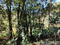 Lote Rural com 7.250m² em Francisco Beltrão/PR