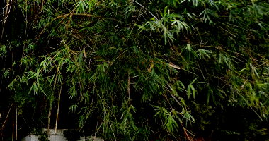 Terreno amplo com 69.569m² em Juiz de Fora