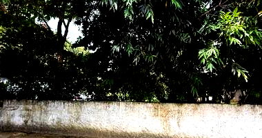 Direitos Possessórios sobre Imóvel Perequê - Ilhabela/SP