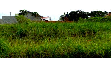 Lote Urbano 20 com 292,98 m² em Urupá/RO