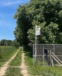 Fração de Terreno Rural com Casa em Arroio da Cruz