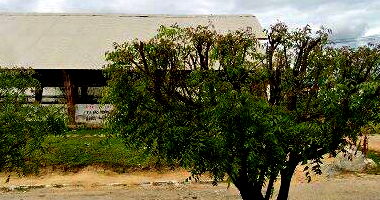 Terreno com 290,40m² em Santa Quitéria, desocupado