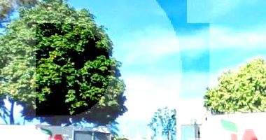 Galpão em Auriflama com 6802m² de terreno