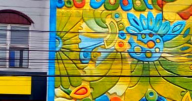 Prédio Comercial com 600m² Locado ao Banco do Brasil