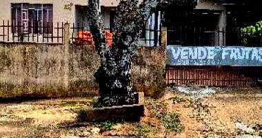 Casa com 2 quartos, 2 vagas e 114,97m² construída, desocupada
