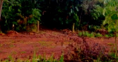 Imóvel Urbano com Área Total de 360m² em Diamante do Sul/PR