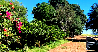 Terreno Rural com 9,60 hectares em Trindade do Sul