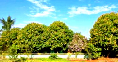 Imóvel Rural com 43.560 m² e Construções em Marechal Cândido Rondon/PR