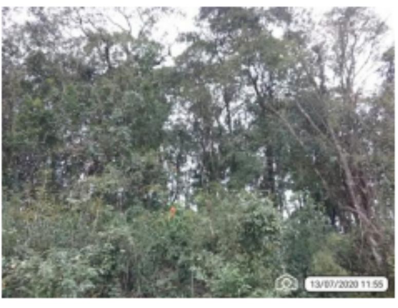 Lote amplo 938m² em Cordilheira Alta, terreno ideal para investimento
