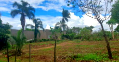 Terreno amplo de 1426m² com cercado e portão trancado