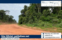 Fazenda São João VII - 242 hectares de área rural em Brasnorte/MT