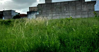 Lote de Terreno com 303,75m², 12,15m de frente, desocupado