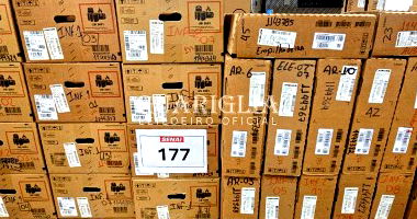 Lote 177: 20 Microcomputadores e 20 Monitores LCD