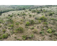 Terreno Rural em Andrequicé - 99,7 ha com grande potencial