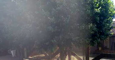 Terreno com prédio comercial e residencial em Carneirinhos/MG