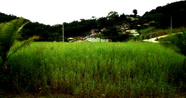 Terreno Urbano com Ampla Área em Brusque/SC