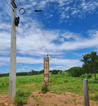 Fazenda de 125 Ha em Nossa Senhora do Livramento/MT