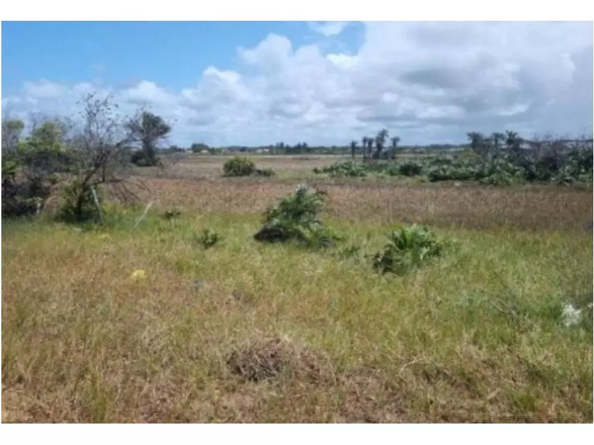 Terrenos desocupados com 300m² cada, 3 lotes juntos