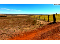 Grande Fazenda com 556,56 hectares em Cristalina/GO