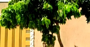 Casa residencial com 3 quartos, 2 banheiros e 1 vaga, área construída 127m², imóvel ocupado