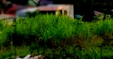 Terreno com 360m² na Rua Alexandre Hauenstein, Teutônia/RS