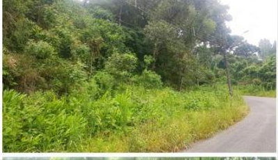 Terreno urbano de 14.392,28m², sem benfeitorias, em Curitiba