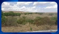 Gleba de terras rural em Araripina, ideal para investimento