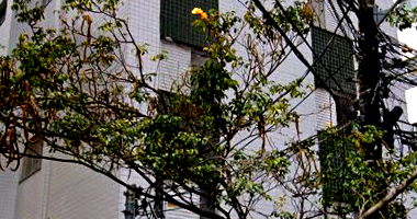 Apartamento 3 Quartos com Suíte e 2 Vagas em Sion