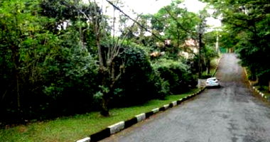 Terreno amplo no Jardim Algarve com 1.014m²
