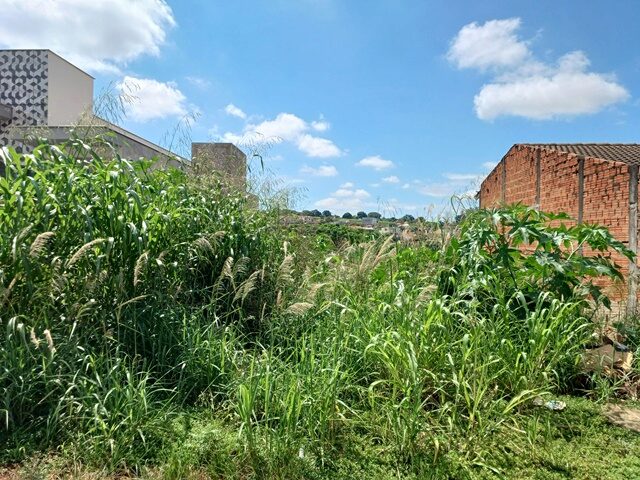 Terreno de 257,50 m² em declive e sem benfeitorias