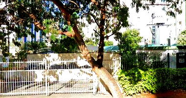 Apartamento com 3 quartos, 2 banheiros, 2 vagas e 139,95m² total