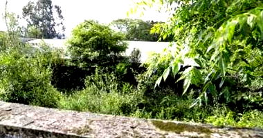 Terreno Urbano com Galpões em Porto Vitória - PR