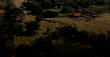 Fazenda Dom Bosco - Imóvel Rural com 734,49 hectares