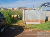 Terreno em Formosa do Oeste com 253m²