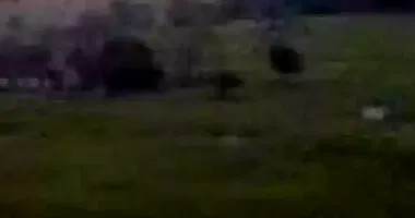 Terreno Rural em Linha Barração - Morro da Fumaça/SC