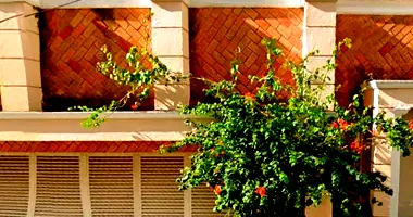 Sobrado com 4 Quartos e 3 Banheiros em São Caetano do Sul